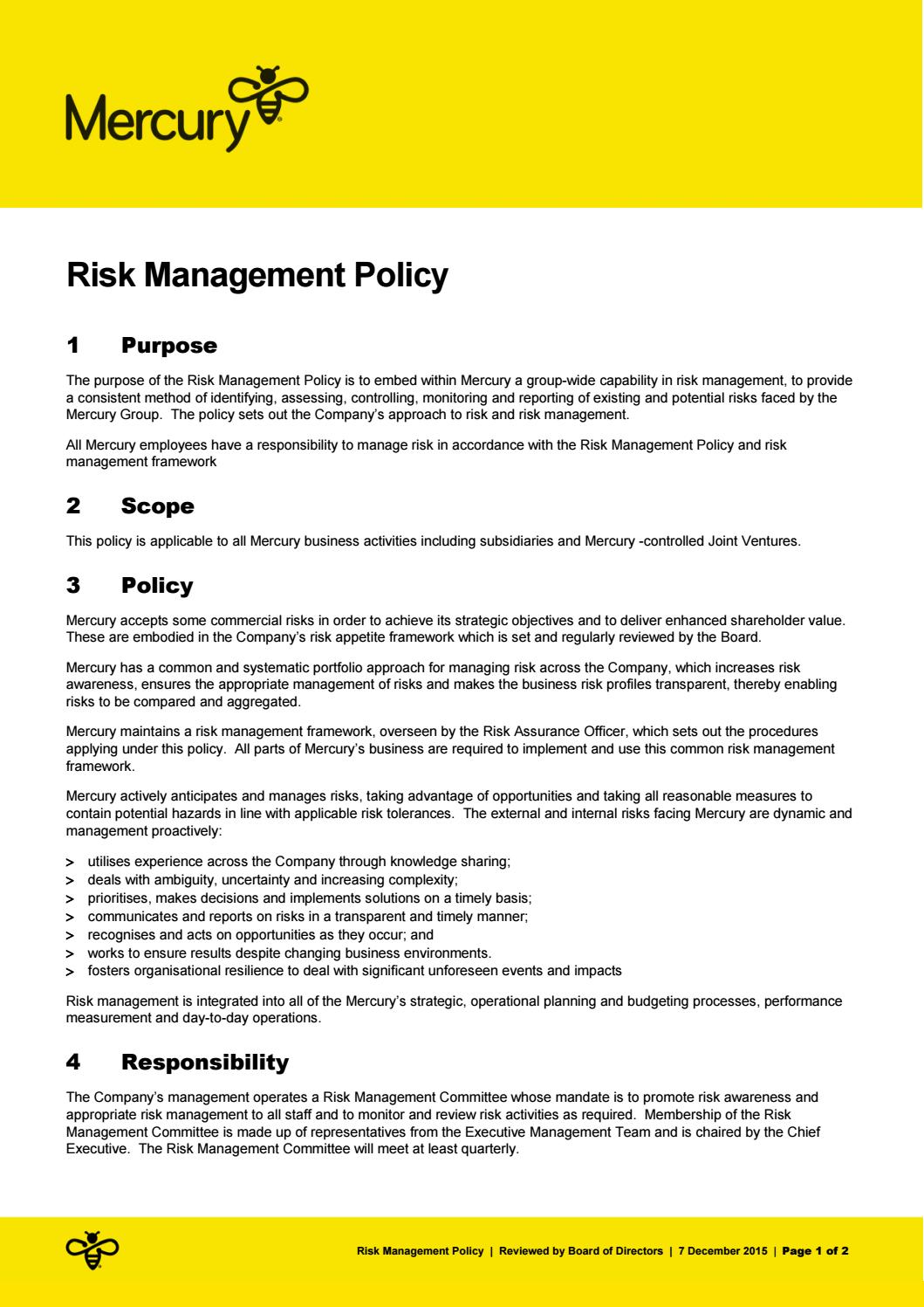 Risk management policy example
